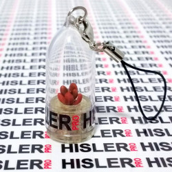 Babyplante personnalisée mini plante cactus goodies porte clé nature écologique cadeau congrès séminaire