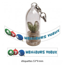 Babyplante mini plante cactus goodies porte clé personnalisé nature écologique cadeau congrès séminaire