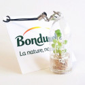 Goodies, porte clé, objet publicitaire écologique, cadeau nature, pack de 100 babyplantes mini plantes cactus personnalisées.