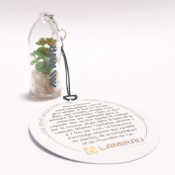 Objet publicitaire écologique, porte clé nature, goodies tendance, babyplante petite plante mini cactus personnalisation