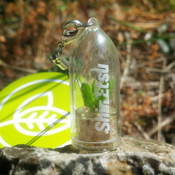 Objet publicitaire écologique, porte clé nature, goodies tendance, babyplante petite plante mini cactus personnalisation