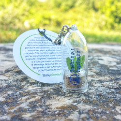 Cadeau entreprise, objet publicitaire, gadget écologique, porte clé nature, goodies tendance, babyplante mini plante cactus