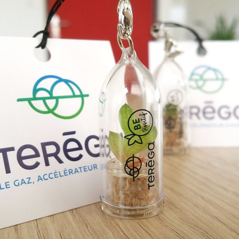Goodies, porte clé, cadeau publicitaire écologique, pack de 100 mini plantes cactus personnalisées. Tampographie et cartonette. Goodies, porte clé, cadeau publicitaire écologique, pack de 100 mini plantes cactus personnalisées. Tampographie et cartonette.