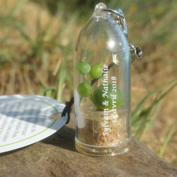 Porte clé personnalisé, goodies nature tendance, babyplante petite plante mini cactus personnalisation mariage wedding fête