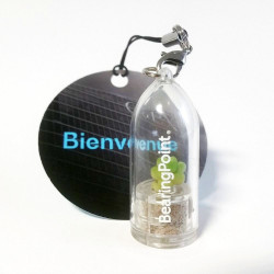Porte clé personnalisé, goodies nature tendance, babyplante petite plante mini cactus personnalisation cadeau entreprise
