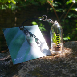 Goodies, porte clé, objet publicitaire écologique, cadeau nature, babyplantes petites plantes mini cactus personnalisées.