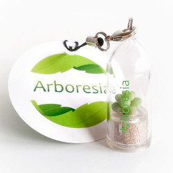 Cadeau nature, objet publicitaire, gadget écologique, porte clé, goodies tendance, babyplante petite plante mini cactus
