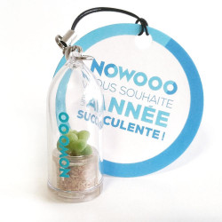 Cadeau nature, objet publicitaire, gadget écologique, porte clé, goodies tendance, babyplante petite plante mini cactus