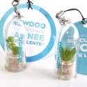 Cadeau entreprise objet publicitaire gadget écologique porte clé nature goodies tendance babyplante mini plante cactus