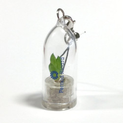 Babyplante personnalisée par tampographie 1 couleur objet publicitaire goodies écologique mini plante cactus porte clé