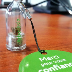 Porte clé personnalisé, goodies nature tendance, babyplante petite plante mini cactus personnalisation cadeau entreprise