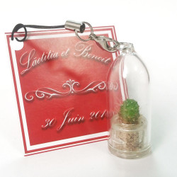 Babyplante personnalisée porte clé petite plante mini cactus cadeau invite nature ecologique