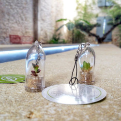 Babyplante personnalisée avec une cartonette ronde attachée au cordon du porte clé ecologique goodies nature