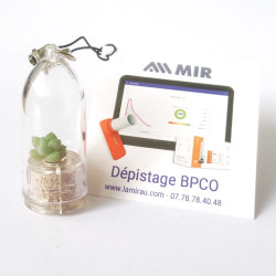 Babyplante personnalisée porte clé petite plante mini cactus cadeau entreprise goodies nature ecologique