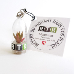 Babyplante personnalisée cadeau client entreprise original porte clé publicitaire nature