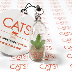 Babyplante personnalisation goodies original cadeau client entreprise porte clé publicitaire objet nature écologique