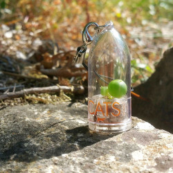 Babyplante personnalisée mini plante cactus goodies porte clé nature écologique cadeau entreprise original