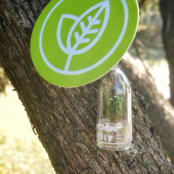 Babyplante personnalisation invitation mariage original cadeau invité porte clé nature écologique wedding gift