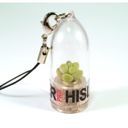 Babyplante personnalisée mini plante cactus goodies porte clé nature écologique cadeau entreprise