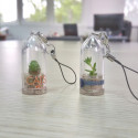 Babyplante personnalisée mini plante cactus goodies porte clé nature écologique cadeau congrès séminaire