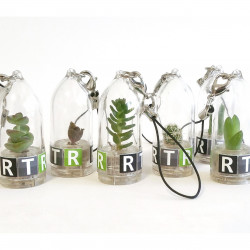 Babyplante personnalisée mini plante cactus goodies porte clé nature écologique cadeau congrès séminaire