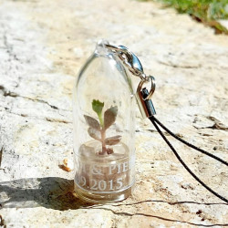 Babyplante personnalisée mini plante cactus goodies porte clé nature écologique cadeau congrès séminaire