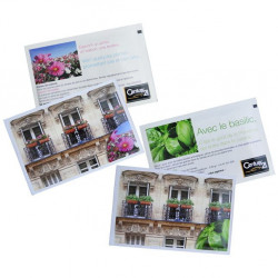 Sachet de graines personnalisés publicitaire, fleurs, aromatiques, légumes, goodies écologiques, objet pub nature