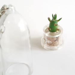 Babyplante Eve's needle Opuntia capsule porte clé
