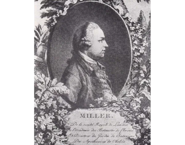 Philip Miller, un botaniste d'origine écossaise