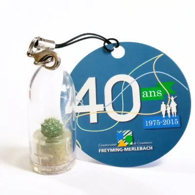 Babyplante la mini plante porte clé personnalisée avec une cartonette babyplante mini plante personnalisée par cartonette