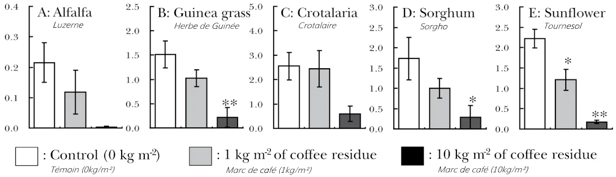 Comparaison des résultats sur les cultures en fonction du taux de marc de café