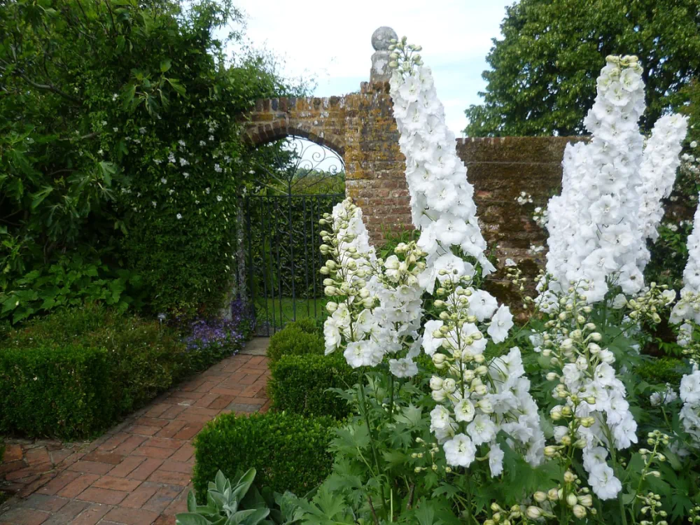 The White Garden de Sissinghurst